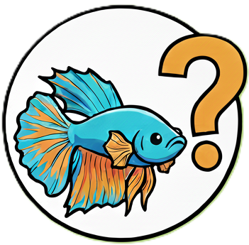 Can Fish?