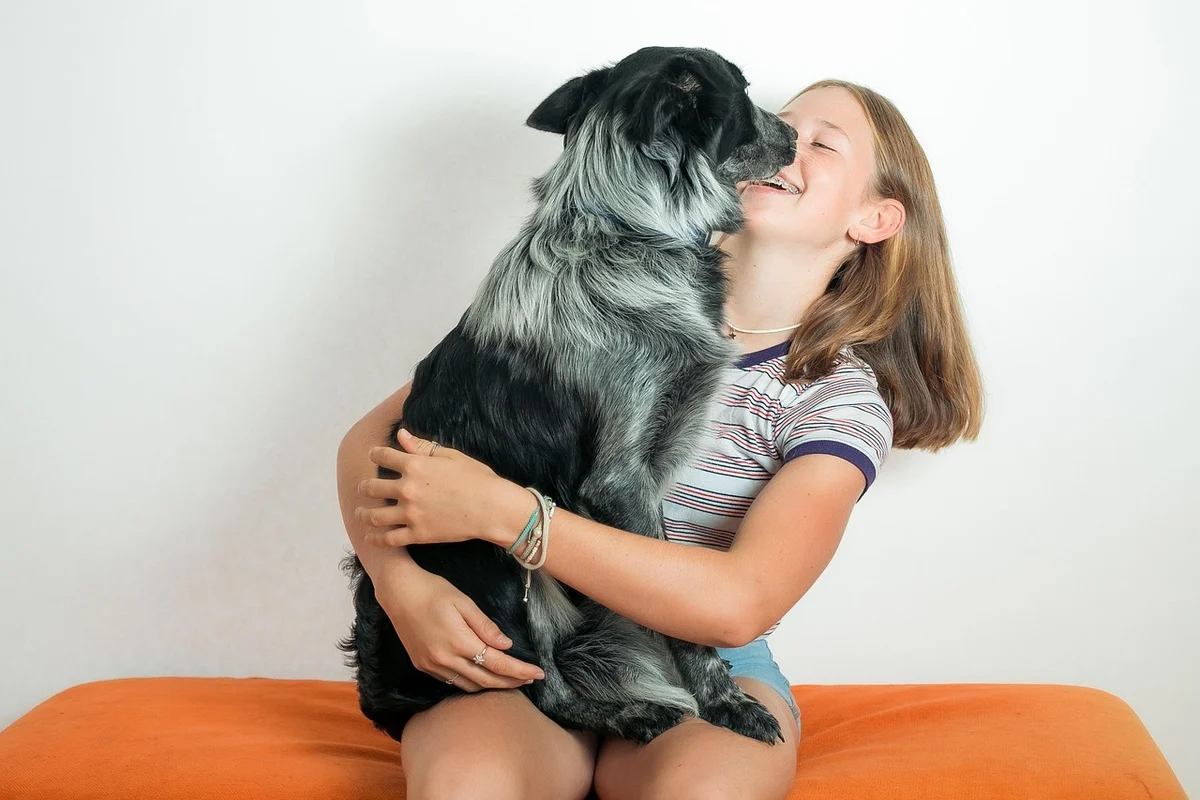 Herding Breed Overview