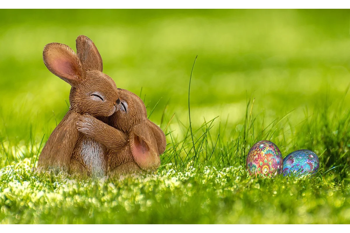 Rabbit with hay